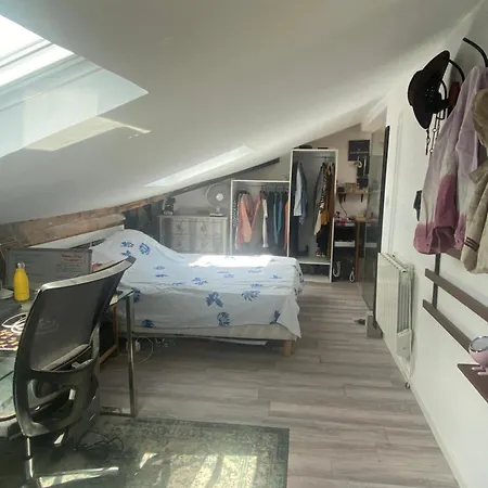 Duplex Avec Balcon Centre Τουλούζη